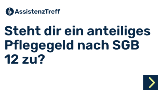 Kein Bild gefunden